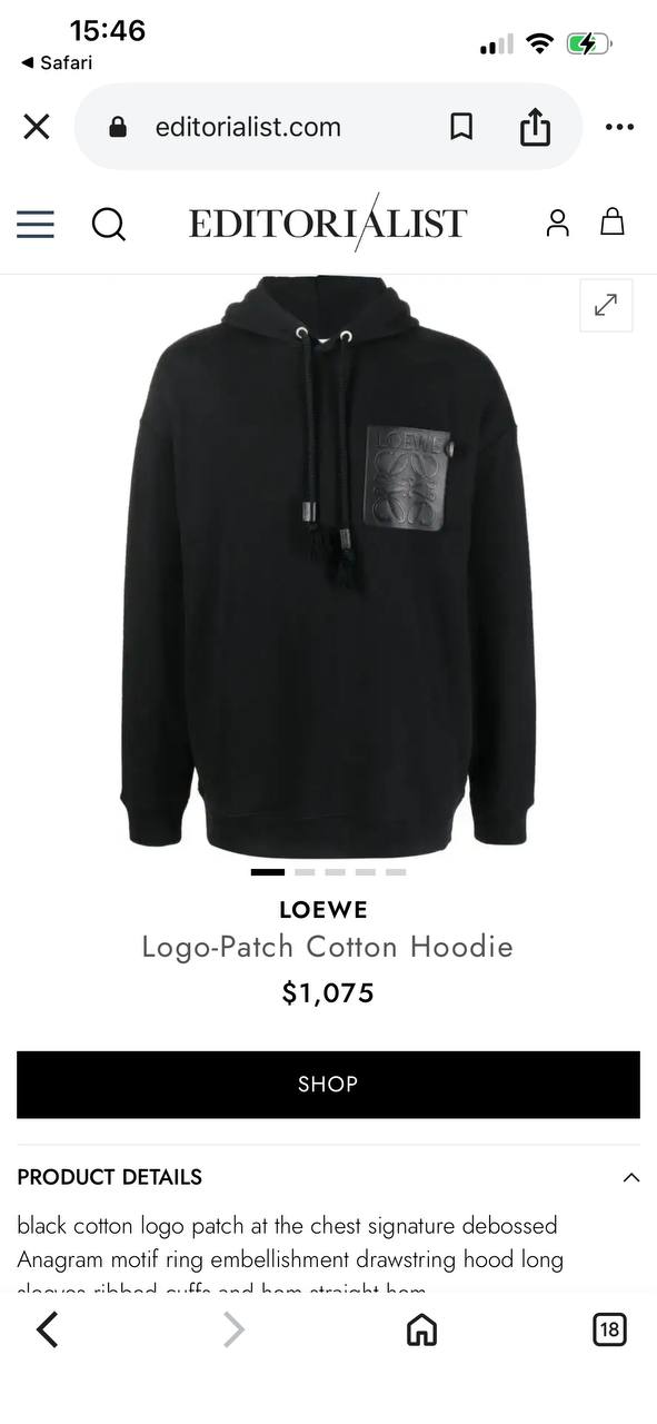 Loewe худи — Anagram крупно